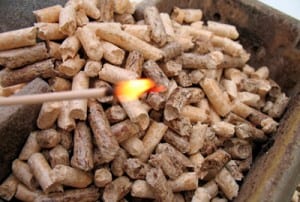 pellets